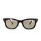 レイバン Ray-Ban WAYFARER メンズ