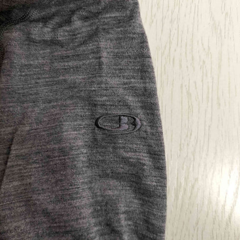 アイスブレーカー ICEBREAKER 200 OASIS LS CREWE 200 オアシス ロングスリーブ クルーネック カットソー レディース import:M