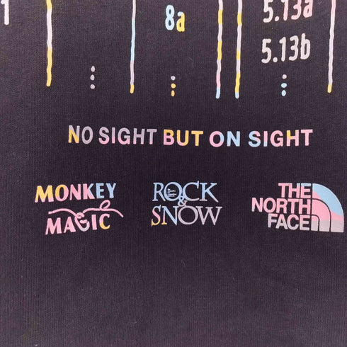 ザノースフェイス THE NORTH FACE S/S Monkey Magic Tee ショートスリーブモンキーマジック Tシャツ レディース import:L