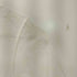 ノーリーズ NOLLEY’S 23SS 5C BASIC 5分袖Tシャツ レディース 36