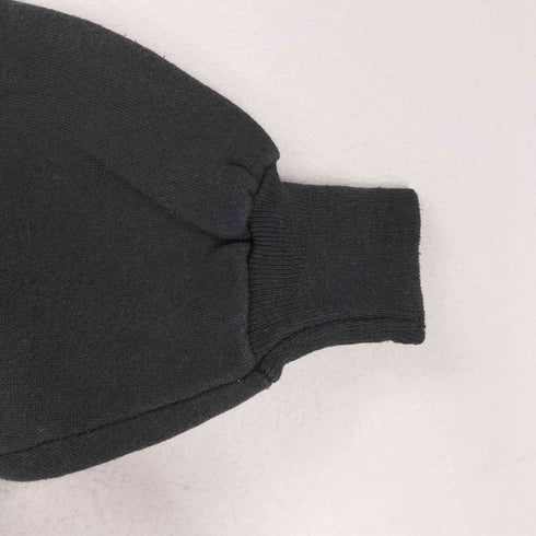 ヘインズ Hanes MADE IN USA 刺繍クルーネックスウェット 前V メンズ JPN:L