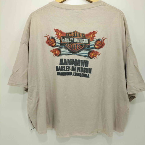 ハーレーダビッドソン HARLEY-DAVIDSON 2014©ビッグプリント クルーネック クロップド S/S TEE メンズ 3XL