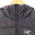 アークテリクス ARCTERYX Thorium AR Hoody メンズ import:M