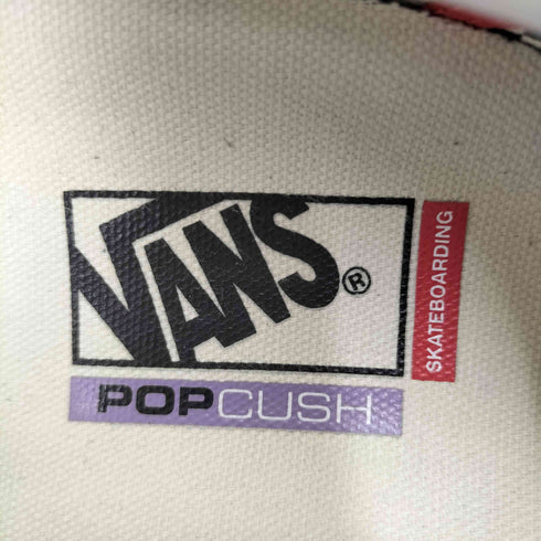 バンズ VANS SKATE SLIP-ON メンズ 29