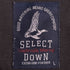 SELECT DOWN EXTRA FINE FEATHER シームレス フーデッドダウン ジャケット メンズ JPN:L