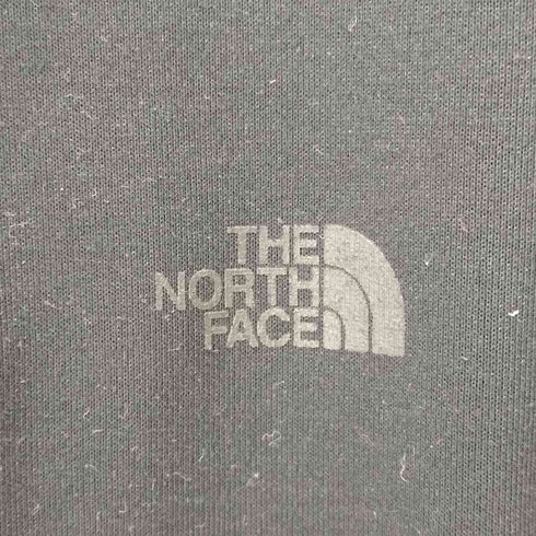 ザノースフェイス THE NORTH FACE S/S SMALL H D LG T スモールハーフドームロゴT メンズ
