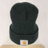 カーハート Carhartt USA製 刺繍デザインビーニー メンズ ONE SIZE