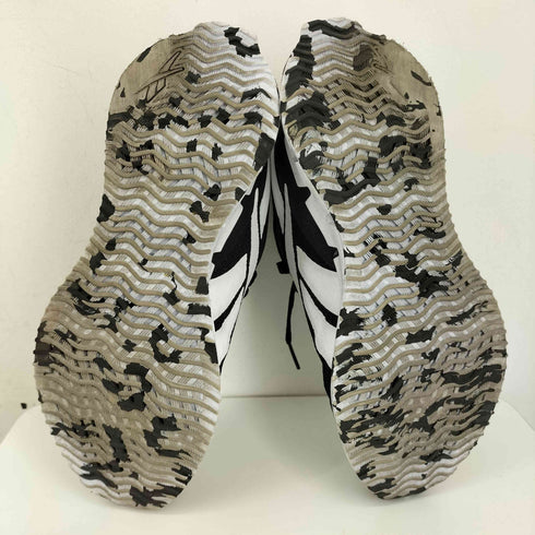 リーボック Reebok Zig Dynamica 2 レディース JPN:24.5