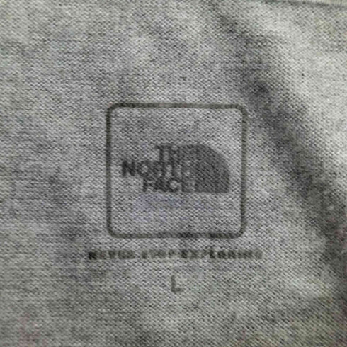 ザノースフェイス THE NORTH FACE FINE ALPINE EQUIPMENT プリント クルーネックTシャツ メンズ import:L