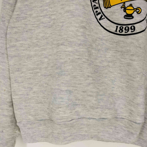 ジャージーズ JERZEES USA製 カレッジプリント クルーネックスウェット メンズ import:L