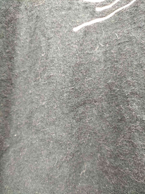 ステューシー Stussy 00S プリント Tシャツ メンズ import:L