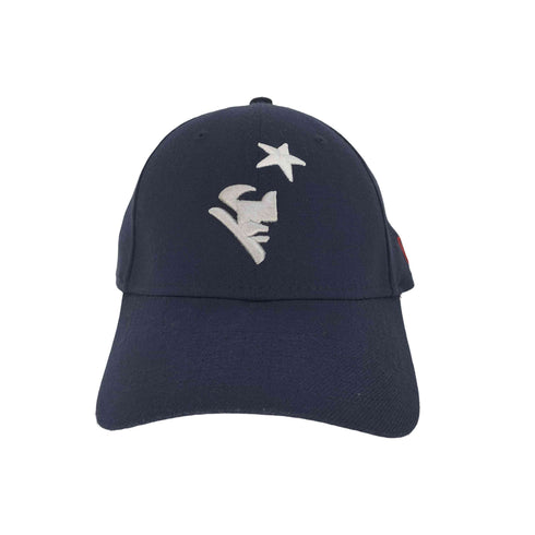 ニューエラ NEW ERA 39THIRTY NFL チームロゴ刺繍 キャップ メンズ LARGE-XLARGE