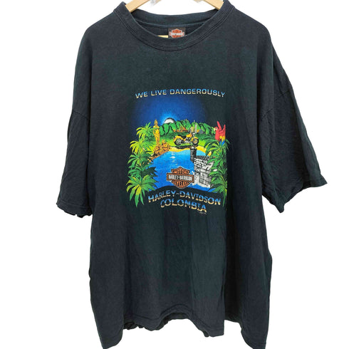 ハーレーダビッドソン HARLEY-DAVIDSON 00s 両面プリント ショートスリーブ クルーネックTシャツ メンズ