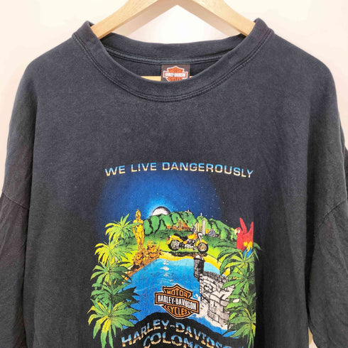 ハーレーダビッドソン HARLEY-DAVIDSON 00s 両面プリント ショートスリーブ クルーネックTシャツ メンズ