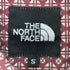 ザノースフェイス THE NORTH FACE ピグメントプリントシャツ メンズ JPN:S