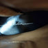 アンラインバイアルフレッドバニスター Unline by alfredoBANNISTER サイドジップブーツ メンズ EUR:42
