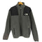 ザノースフェイス THE NORTH FACE 90S ARMADILLA アルマディラ ハーフジップ フリース プルオーバー ジャケット メンズ LL