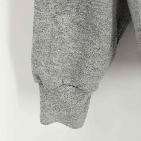 チャンピオン Champion AUTHENTIC カレッジロゴ プルオーバー L/S パーカー メンズ import:L