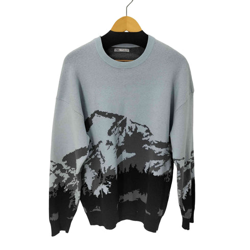 ザラ ZARA フロントマウント柄 クルーネックニット メンズ import:L