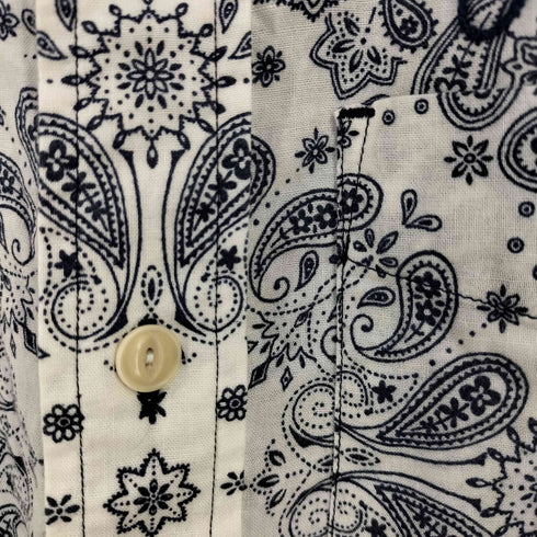 ショット Schott 猫目ボタン ペイズリー レギュラーカラーシャツ メンズ import:S