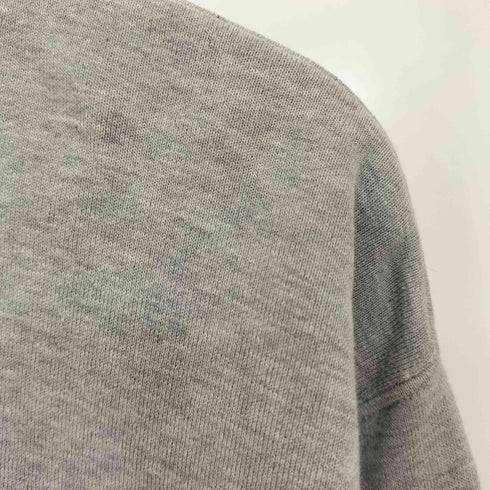 チャンピオン Champion ランタグ復刻 ハーフジップスウェット メンズ JPN:XL