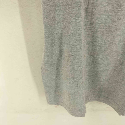 ヘインズ Hanes ABC USA 両面プリント 霜降りTシャツ 星条旗 メンズ import:L
