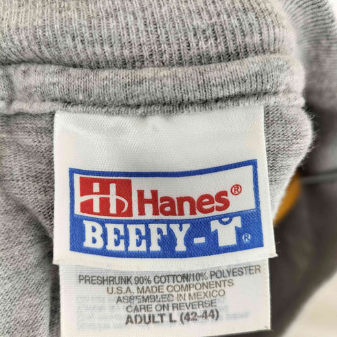 ヘインズ Hanes ABC USA 両面プリント 霜降りTシャツ 星条旗 メンズ import:L