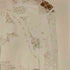 ザラ ZARA 立ち衿 白レース ブラウス レディース import:M