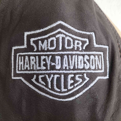 ハーレーダビッドソン HARLEY-DAVIDSON カナダ製 ロゴ刺繍 クレイジーパターン デザイン レザージャケット メンズ import:XL