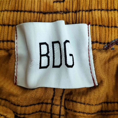 アーバンアウトフィッターズ BDG URBAN OUTFITTERS ペイズリー刺繍 コーデュロイ イージー ペインターパンツ メンズ L