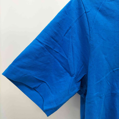 アークテリクス ARCTERYX EMBLEM SS SHIRT Tシャツ メンズ S/P