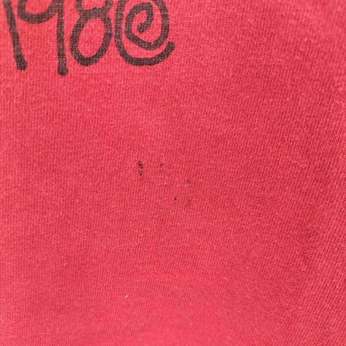 ステューシー Stussy 00S TOKYO CHAPTER TEE メンズ import:S
