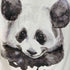 ズッカ ZUCCa MELTY PANDA T レディース JPN:M