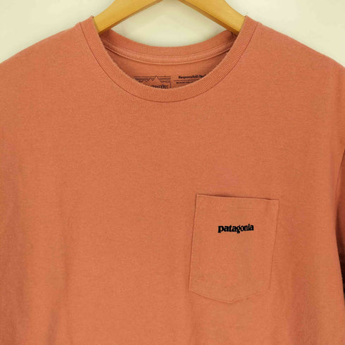 パタゴニア patagonia P-6 Logo Pocket Responsibili-Tee P-6 ロゴ ポケット レスポンシビリ Tシャツ メンズ import:M