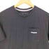 パタゴニア patagonia P-6 Logo Pocket Responsibili-Tee P-6 ロゴ ポケット レスポンシビリ Tシャツ メンズ import:S