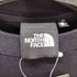 ザノースフェイス THE NORTH FACE L/S Tested Proven Tee ロングスリーブ テステッド プルーブン Tシャツ メンズ import:S