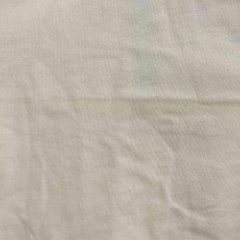 クレイジーシャツ CRAZY SHIRTS 80-90s 袖シングル背面BIGプリントTシャツ メンズ JPN:M
