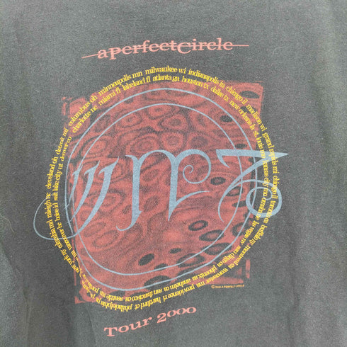 オールスポーツ ALL sport 2000© A PERFECT CIRCLE 両面プリントTシャツ シングルステッチ メンズ import:L