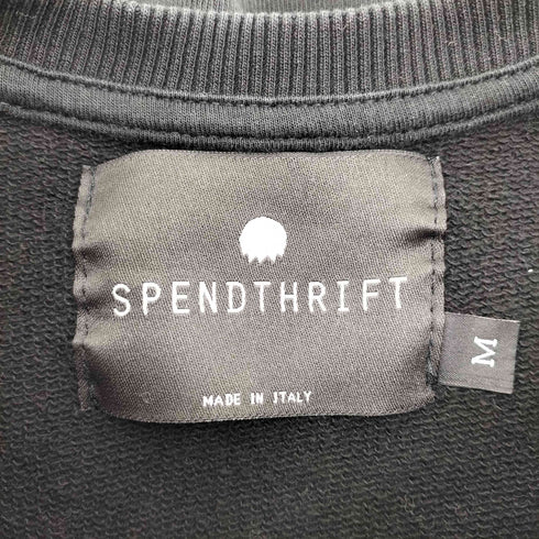 イタリア製 SPENDTHRIFT フロント アーティスト プリント ラグランスリーブ スウェット メンズ import:M