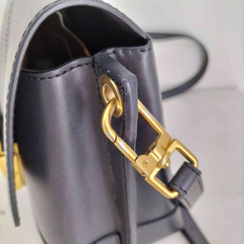 チャールズアンドキース CHARLES&KEITH Juniper Metallic Push-Lock Crossbody Bag メタリック プッシュロッククロスボディバッグ レディース