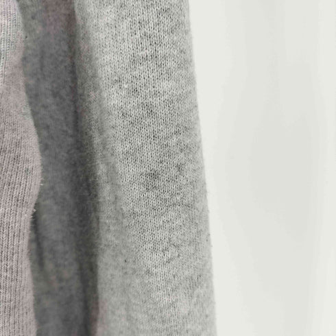 チャンピオン Champion リバースウィーブ プルオーバーパーカー メンズ JPN:XL