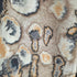 アーロン AERON COUGAR PRINTED SILK PANTS レディース 36