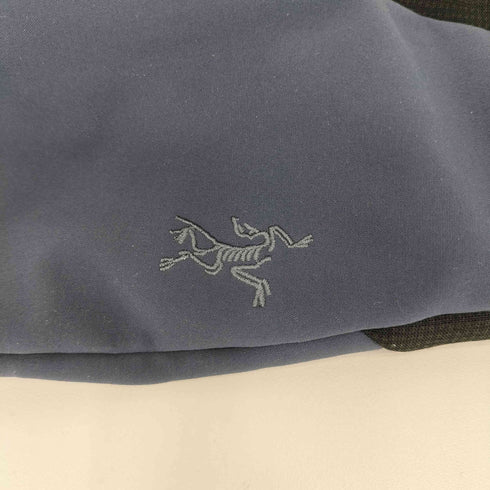 アークテリクス ARCTERYX VENTA MITTEN GORE-TEX メンズ L