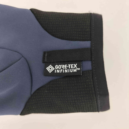 アークテリクス ARCTERYX VENTA MITTEN GORE-TEX メンズ L
