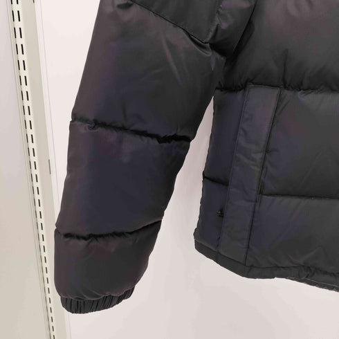 ザノースフェイス THE NORTH FACE DIABLO DOWN JACKET メンズ import:L
