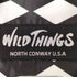 ワイルドシングス WILD THINGS DOWN JACKET ダウンジャケット メンズ 40