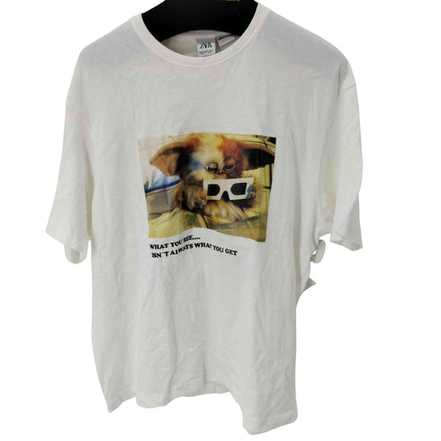 ザラ ZARA フロントフォトプリント S/S Tシャツ メンズ import:XL