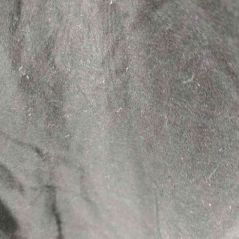 プラスターナ prasthana L/S クルーネックロンT メンズ FREE