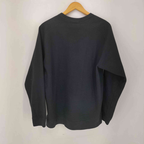 ザノースフェイス THE NORTH FACE Micro Fleece Crew メンズ import:L