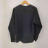 ザノースフェイス THE NORTH FACE Micro Fleece Crew メンズ import:L